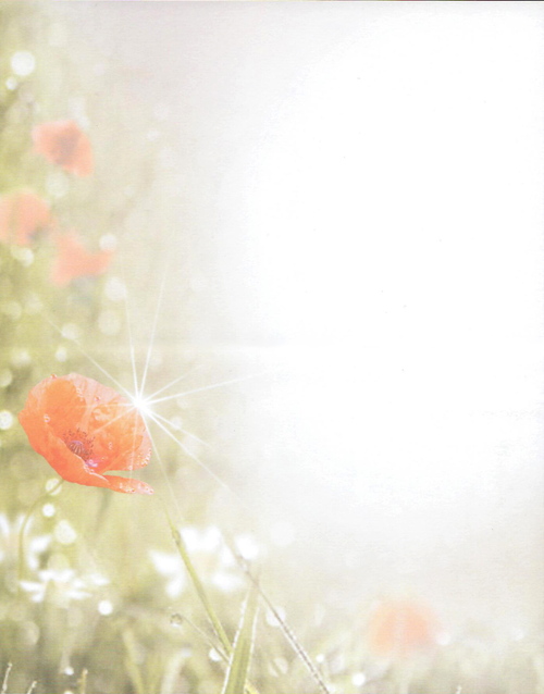 Moonblume