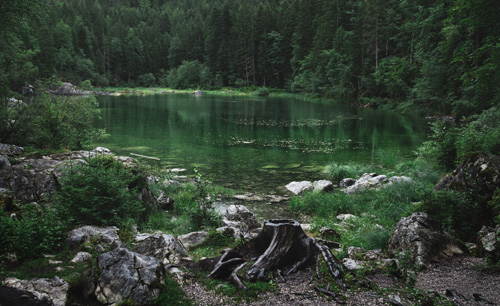 Bestattungsdienst Drei Tannen Olten